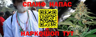 сатива Кунгур