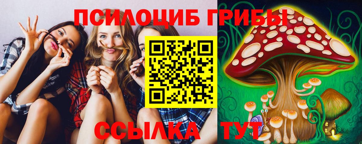 Псилоцибиновые грибы Cubensis Гусиноозёрск
